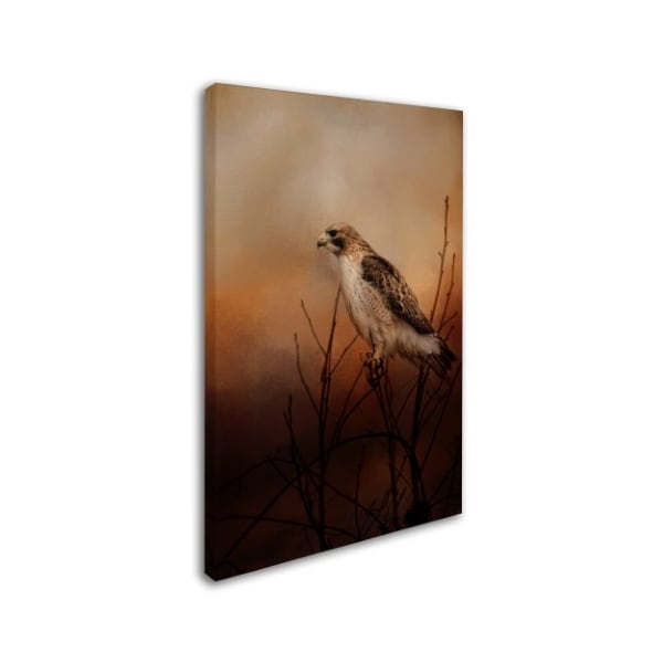 Jai Johnson 'Red Tail In Wait' Canvas Art,16x24